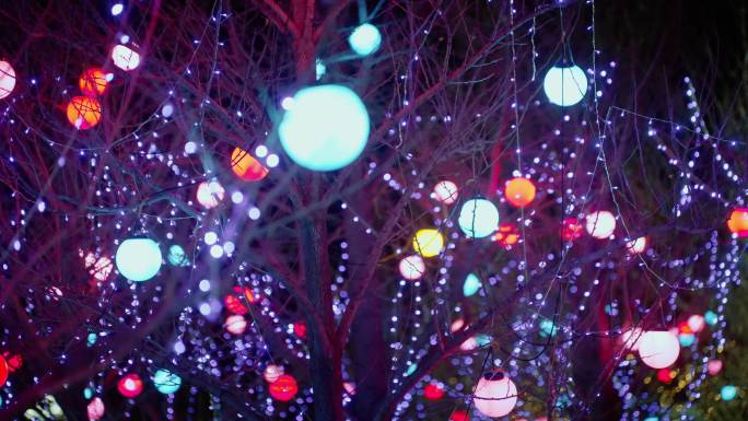 新年街道树上挂的彩灯