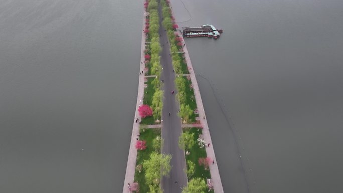 航拍春天早晨桃红枊绿的杭州西湖白堤