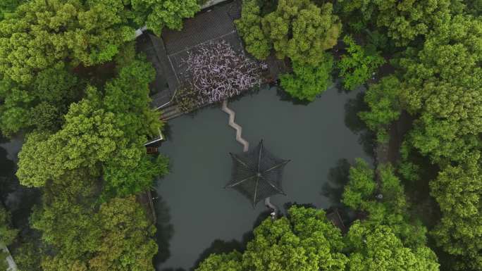 苏州西园寺紫藤雨景视频