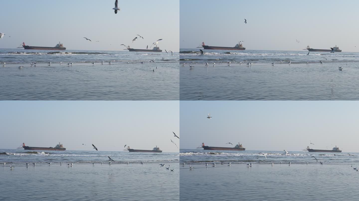 海上油轮海鸥海浪4K摄影