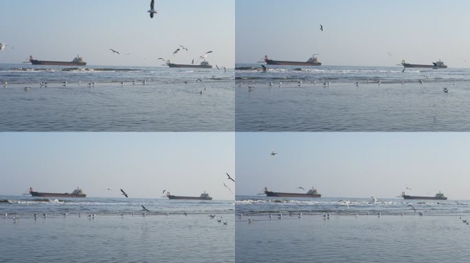 海上油轮海鸥海浪4K摄影