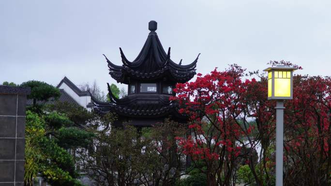 园林春雨  春分谷雨  唯美空镜