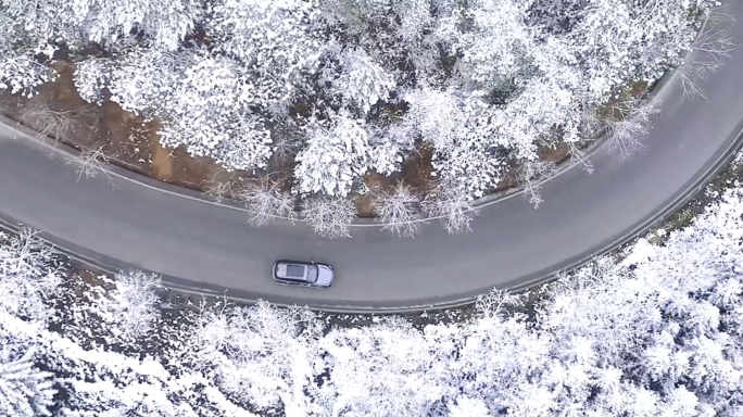 雪天行驶在林中山路上的汽车-旅行自由生活