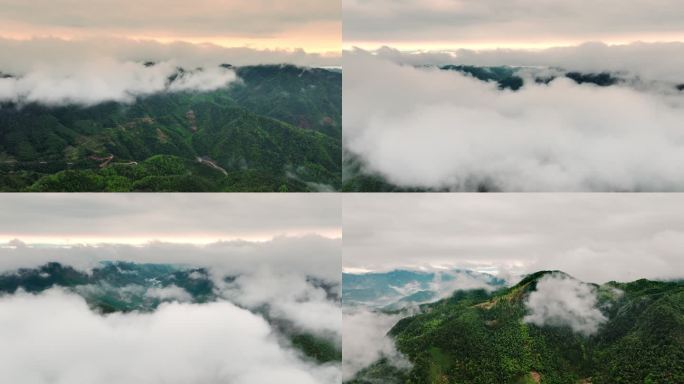 航拍安徽休宁金龙山春雨云海日出风光4K