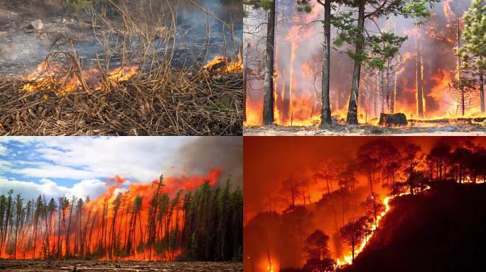 【集合】火灾现场森林火灾大火航拍自然灾害