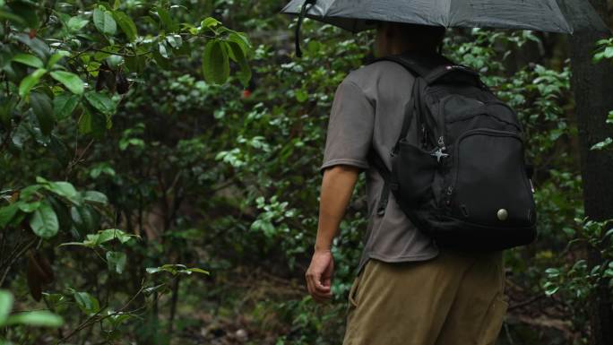 雨天独自一人撑伞走在石阶路上去爬山梅雨