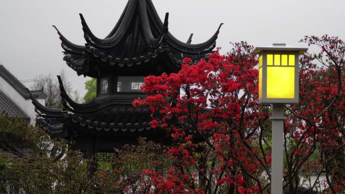 园林春雨  春分谷雨  唯美空镜