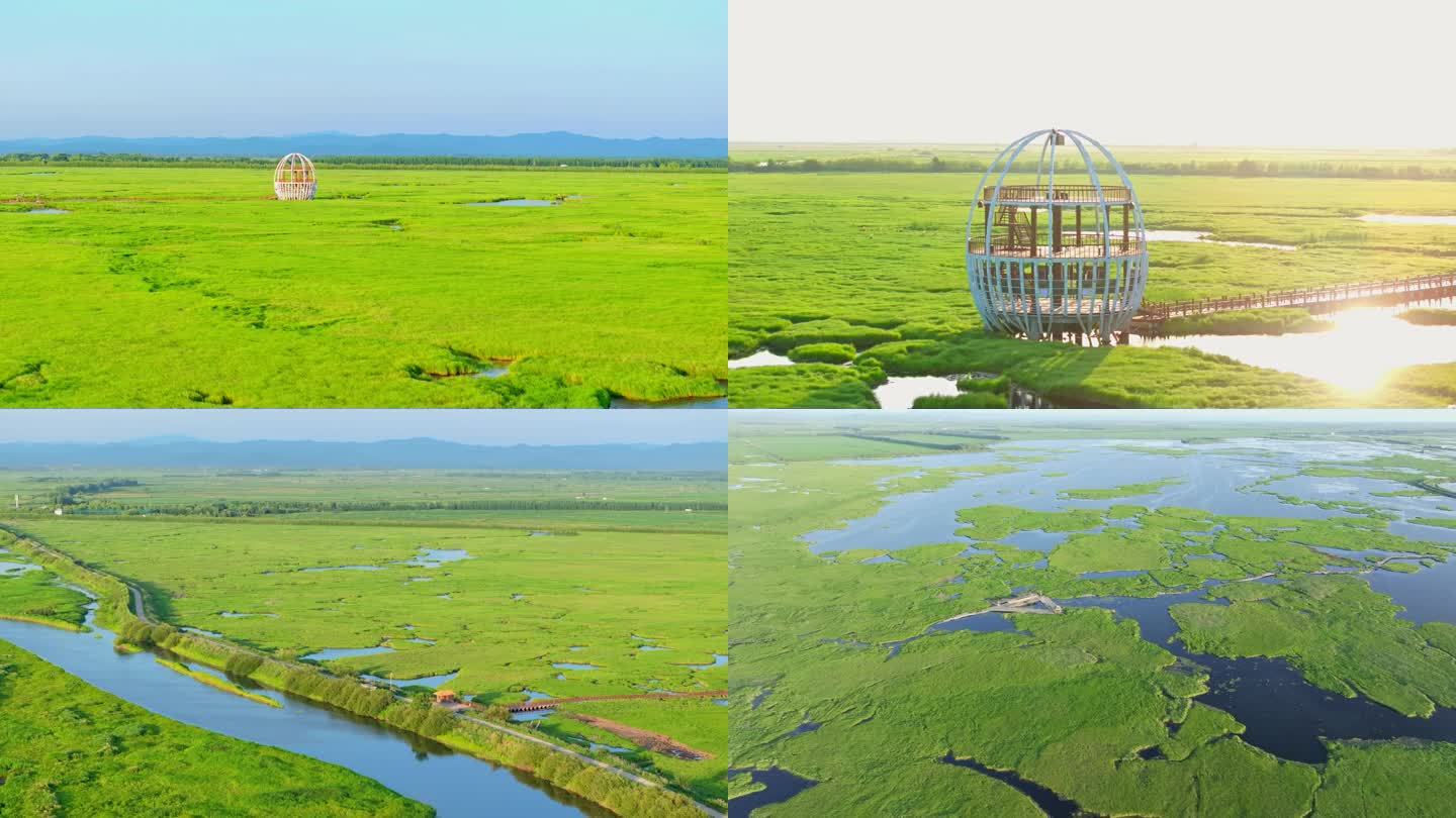 黑龙江挠力河千鸟湖湿地保护航拍夏季栖息地