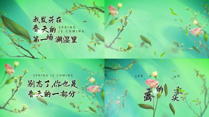 春天雨水谷雨节气标题中国风标题出字片花
