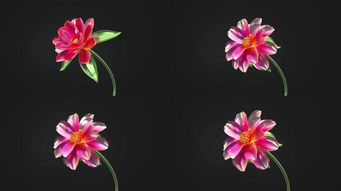金属质感花朵绽放盛开三维动画C4D工程