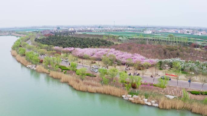 金平湖航拍 湿地公园 春天花开 假期出行