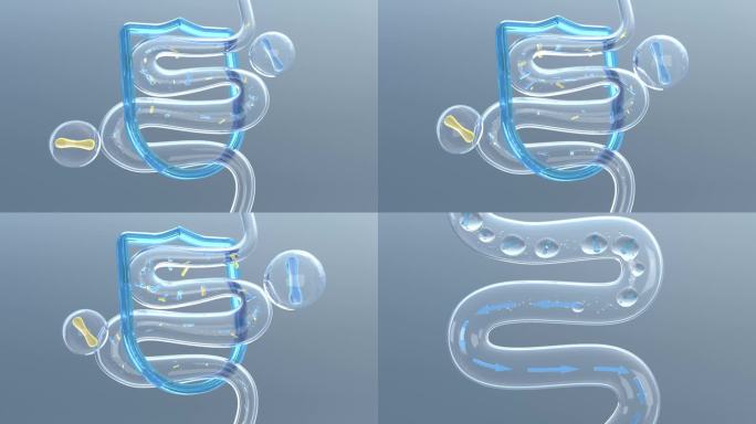 AE+3D 营养物质 益生菌肠道修复奶粉