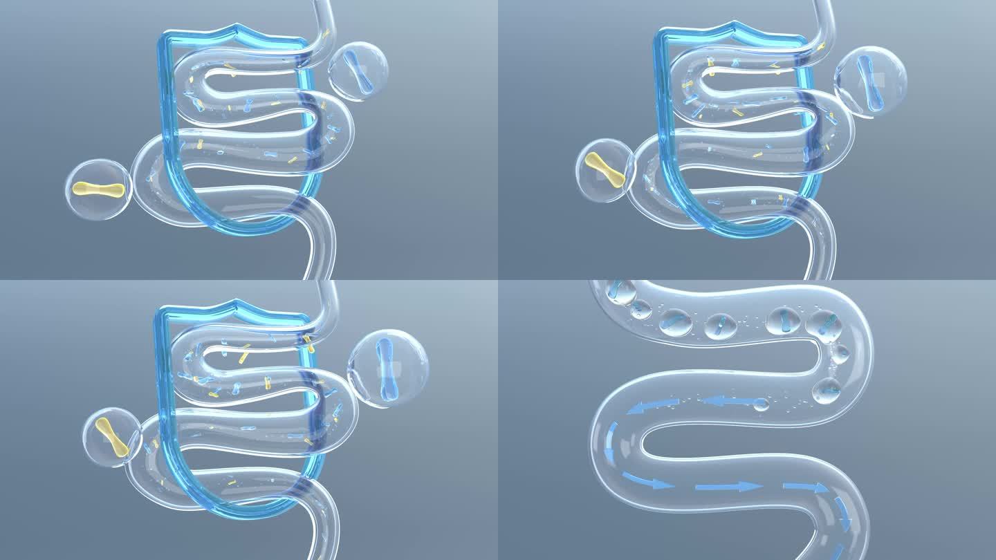 AE+3D 营养物质 益生菌肠道修复奶粉