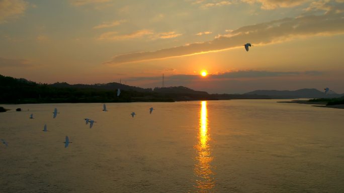 惠州东江博罗观音阁段夕阳与飞鸟