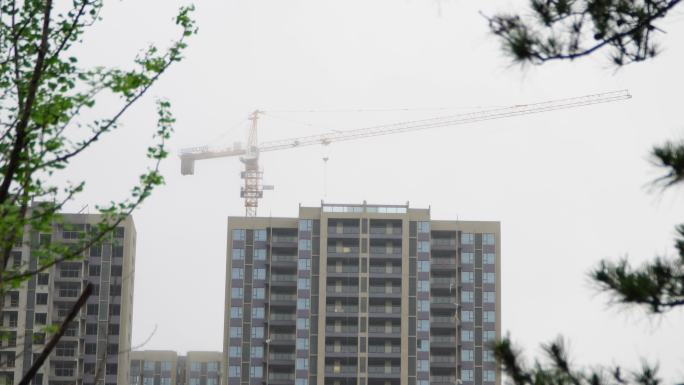 园林春雨  春分谷雨  唯美空镜