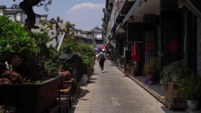 昆明园博花鸟市场