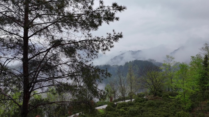 雨后大山