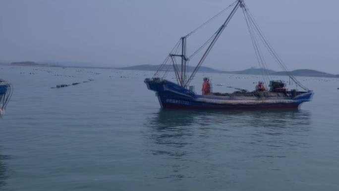 乳山牡蛎收获渔船满载而归