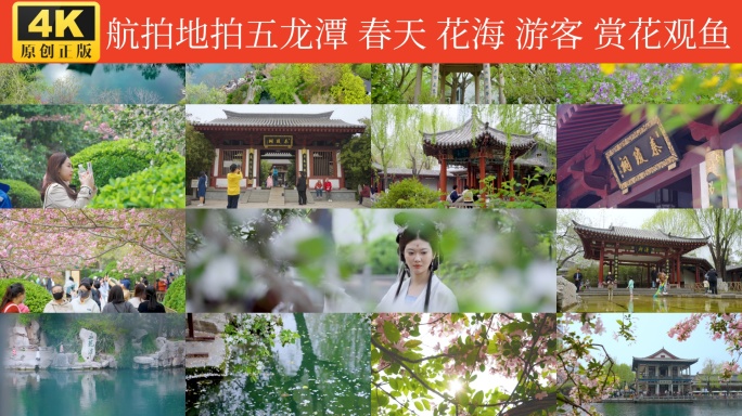 五龙潭花海游客赏花观鱼