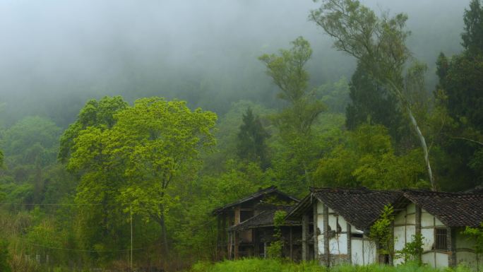 四川农村房屋雨季云海 山 雾气