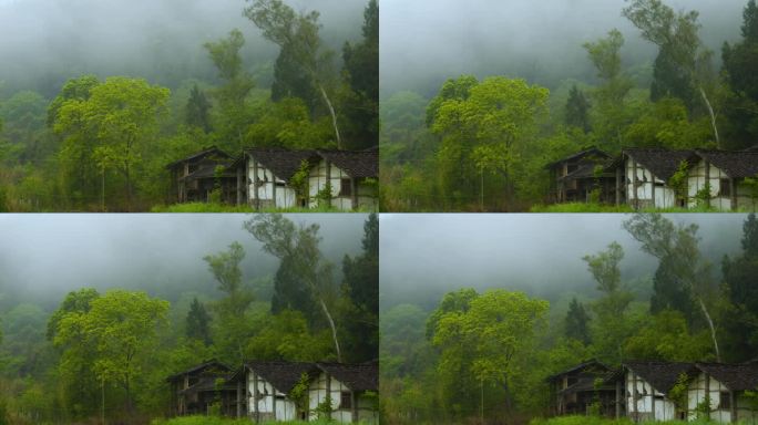 四川农村房屋雨季云海 山 雾气