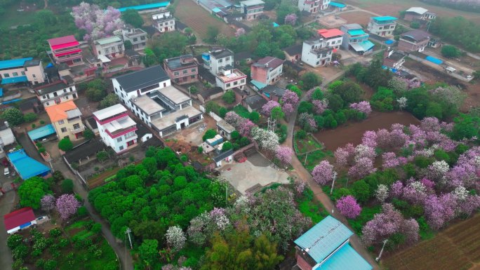 春暖花开航拍土地乡村农业