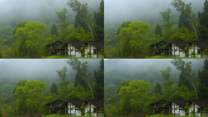 四川雨季云海 山 雾气 森林 大自然