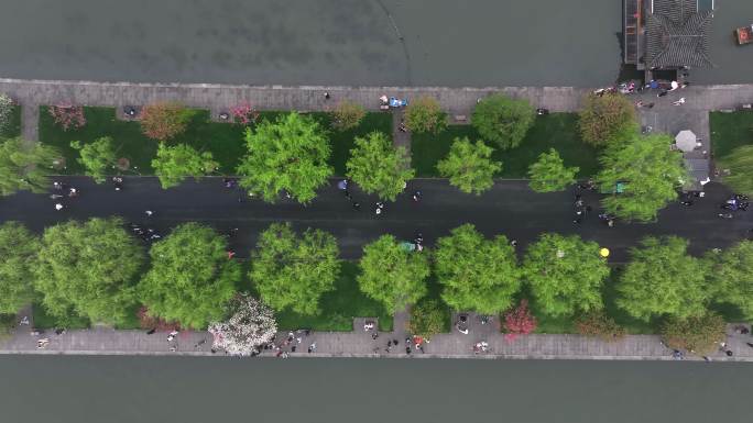 雨中西湖白堤航拍