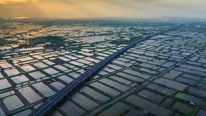 江汉平原 万亩良田 生态养殖