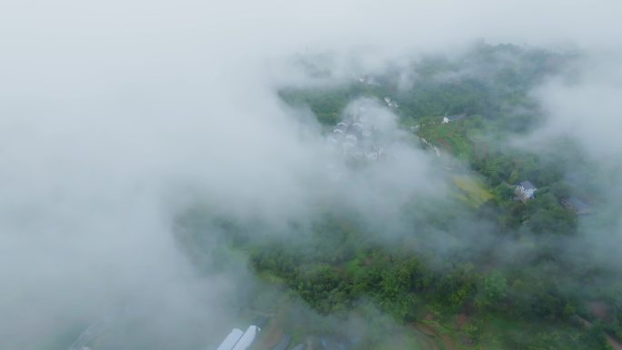 多镜头航拍4K雾气笼罩的南方乡村穿云绿色