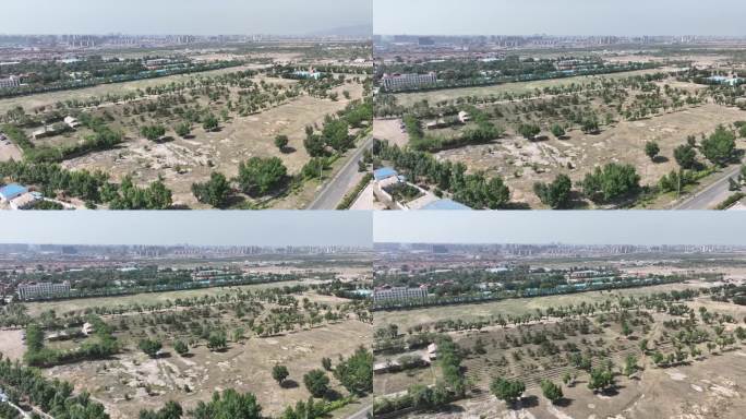呼和浩特城市郊区防护林4k航拍