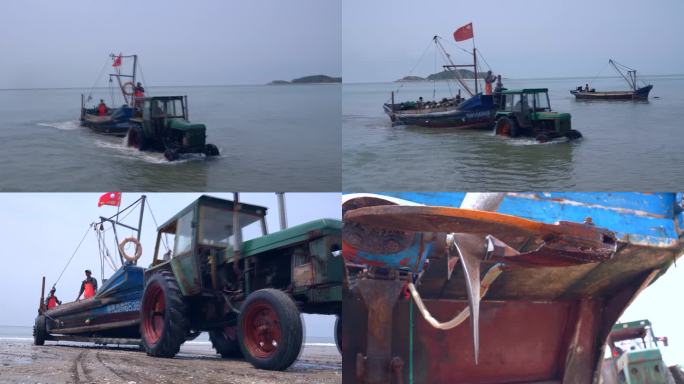 乳山牡蛎收获渔船被拖拉机拉上岸