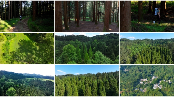 蓝天白云山野青山森林徒步