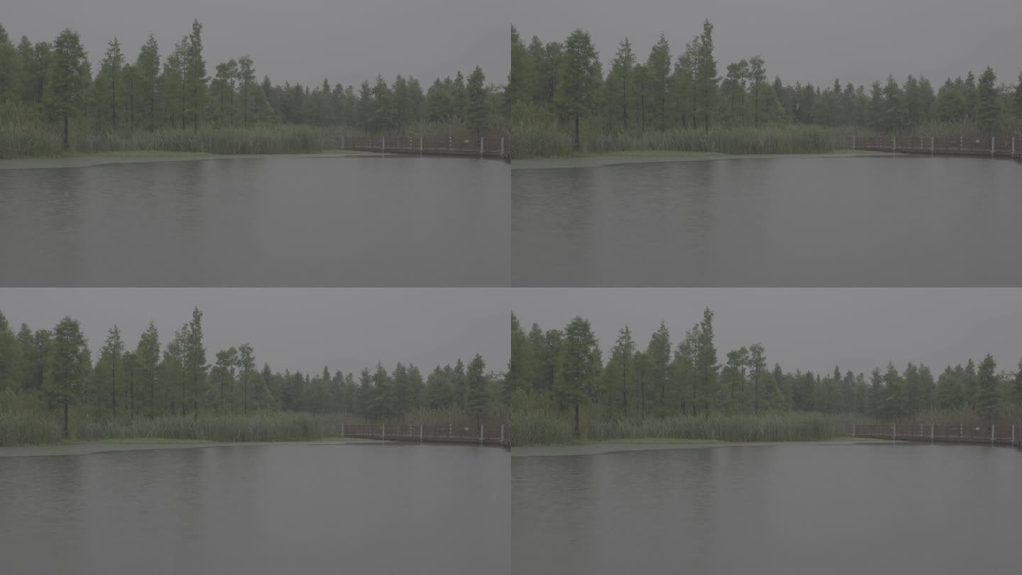 雨天，森林湿地湖泊，廊桥，治愈风景，雨景