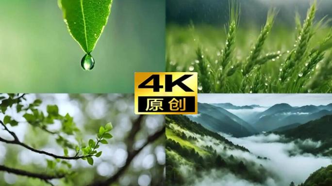 小满节气小满谷雨节气小雨唯美下雨天雨景