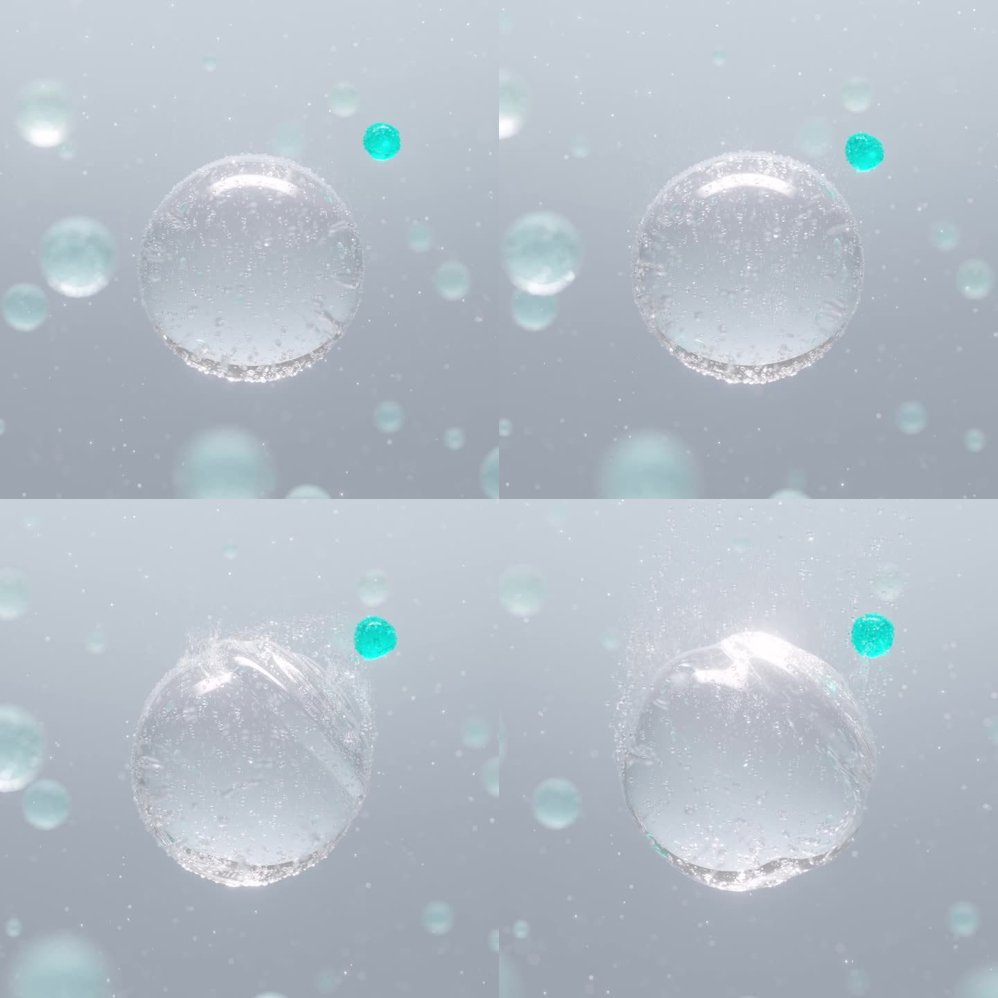 水泡（含C4D工程）