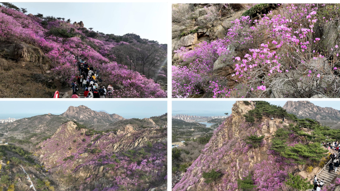 【4K】赏花 旅游人群 美好生活