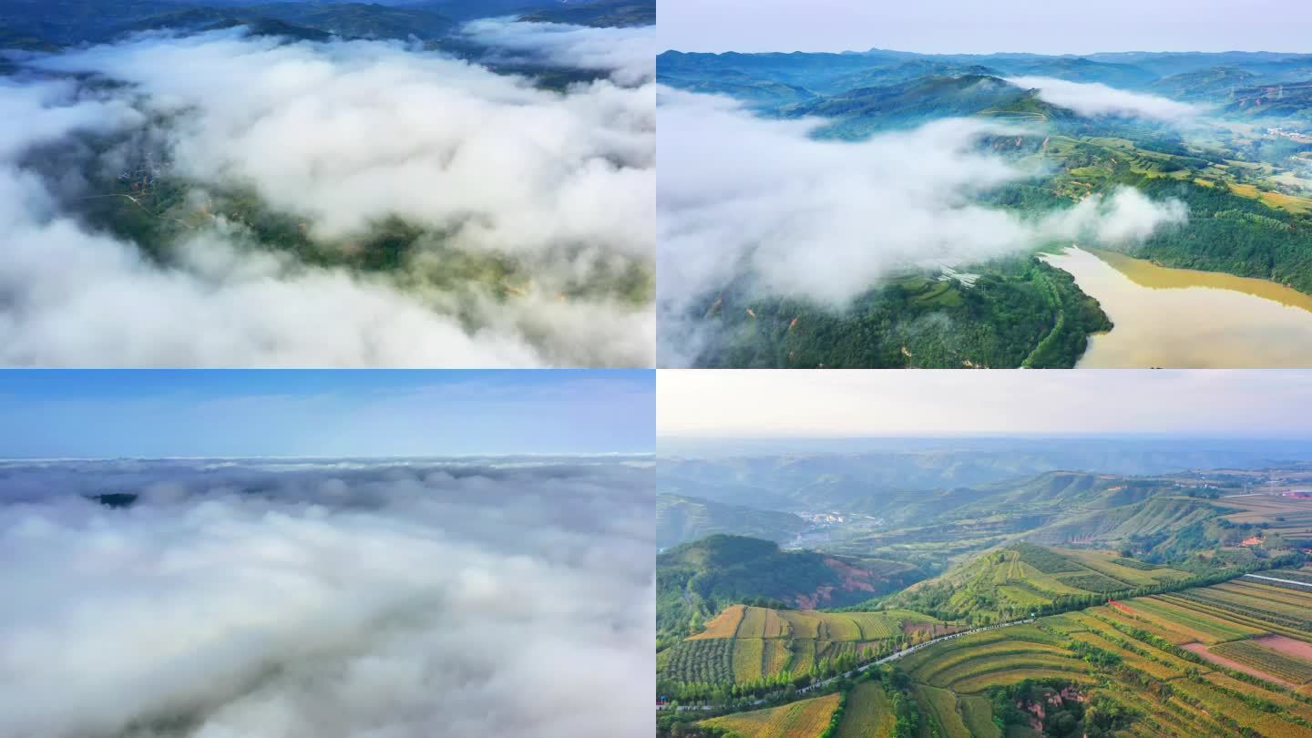 黄土高原丘陵沟壑晨雾云海