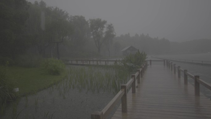 公园暴雨，下雨天，原音，大自然治愈风景