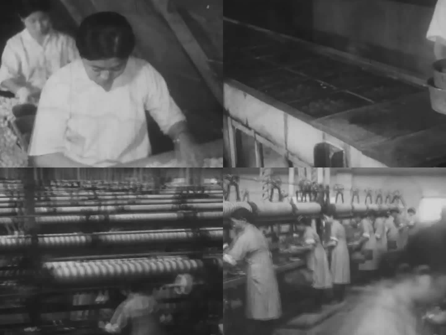 30年代缫丝厂 民国缫丝 煮茧 蚕茧加工