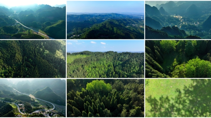 青山绿水唯美中国航拍 森林树林