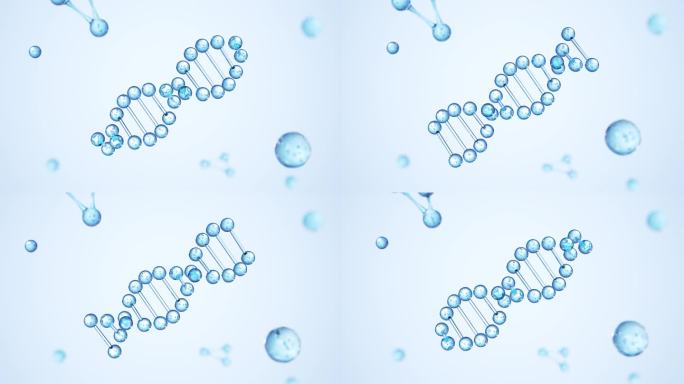 DNA双螺旋遗传分子