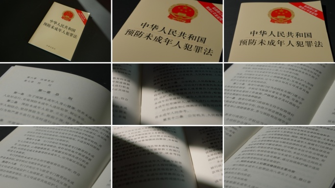 预防未成年人犯罪法未成年人犯罪法律法规