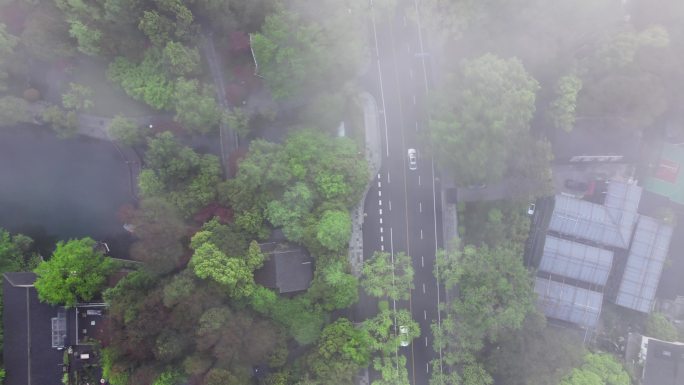 俯拍云雾南山路