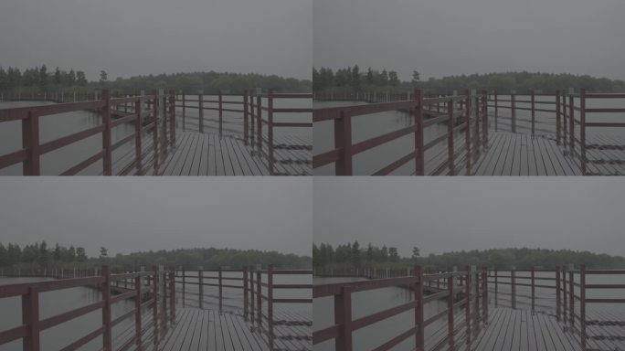 雨天，户外森林湿地湖泊上的廊桥，雨景