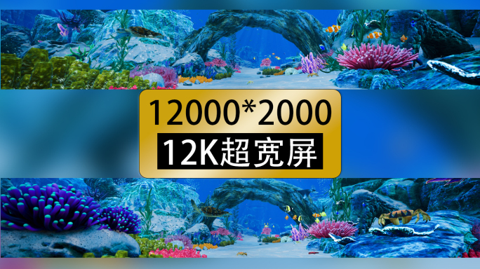 12k超宽屏海底世界视频素材