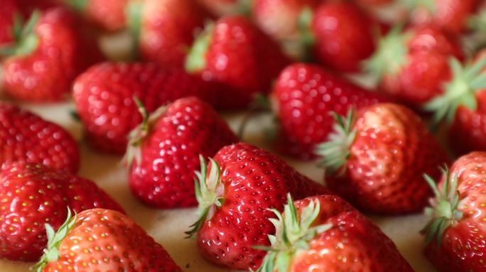 商品草莓 草莓采摘