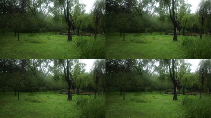 大自然下雨治愈风景，大雨，原音，森林草地