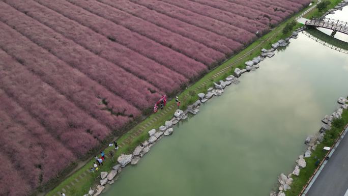 季子庙九里风景区