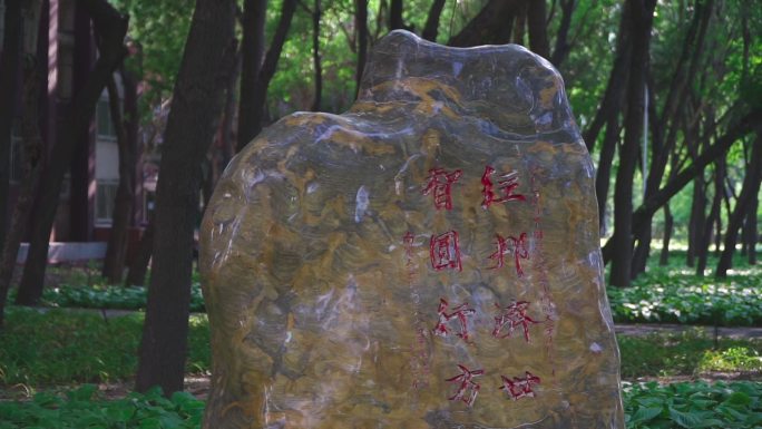 南开大学滕维藻雕像 石碑 继续教育中心